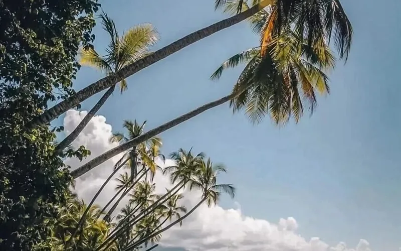 Small hotel with a pool in Uvita Costa Rica, a base for whale watching in uvita trips from Playa Uvita