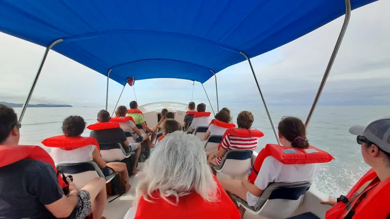 Whale and dolphin watching boat tour departing Uvita to Marino Ballena National Park, Costa Rica